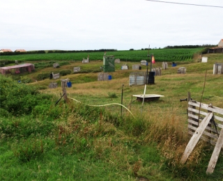  Distribuzione del campo 